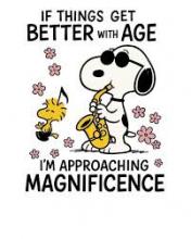 Cartoon about Approaching Magnificience